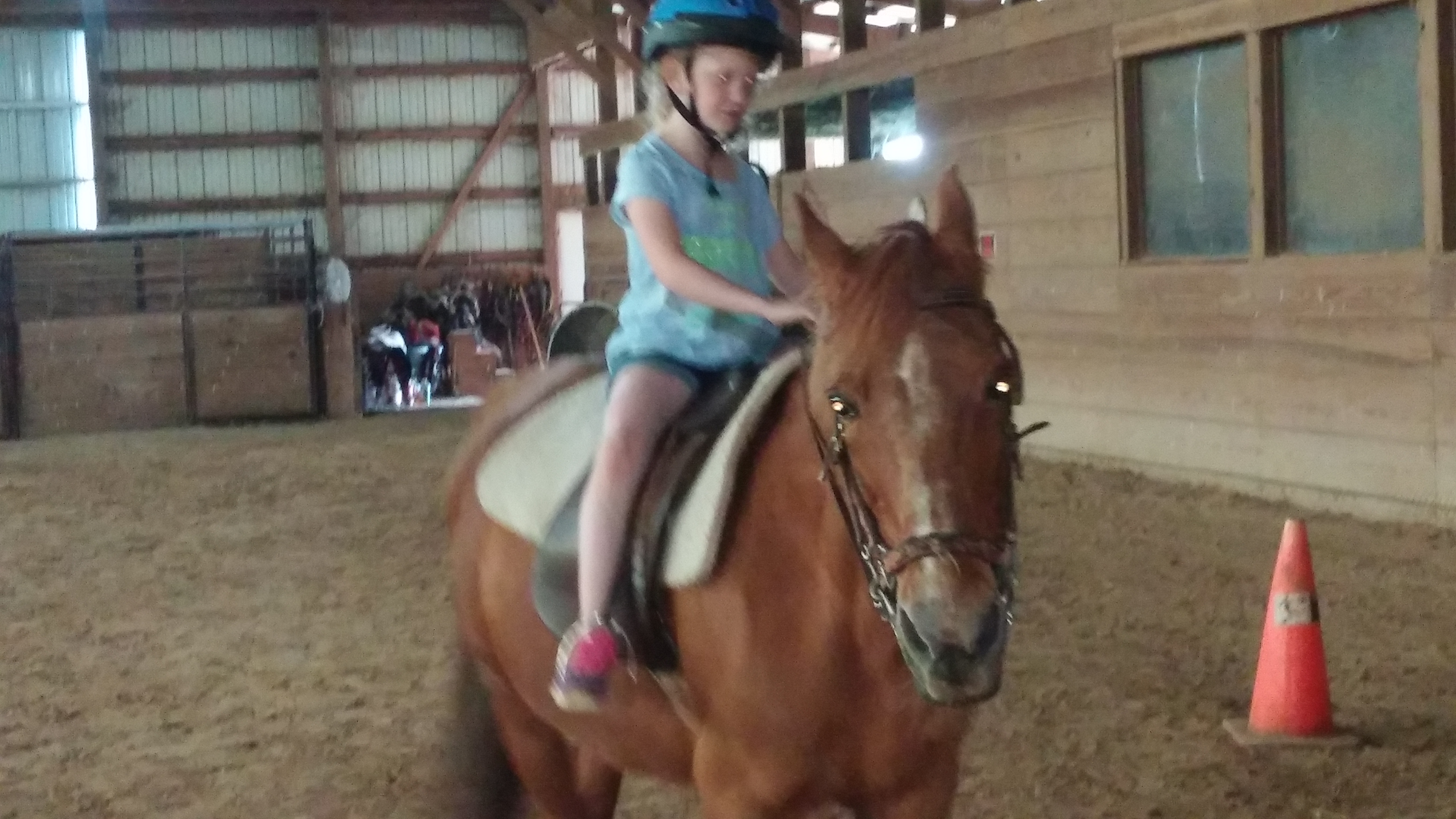 Wright-Way Equestrian Center Inc. Photo