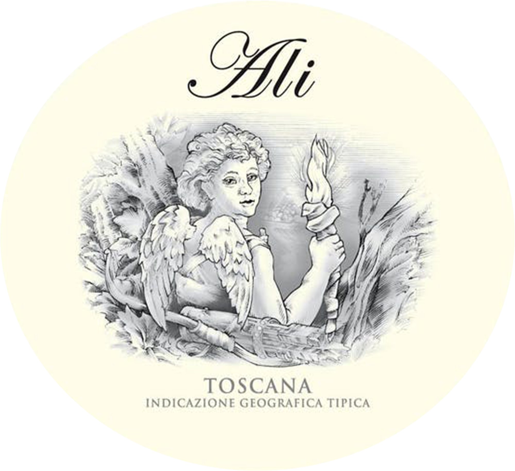 Donna Laura Ali 2021 Red Wine - Italy