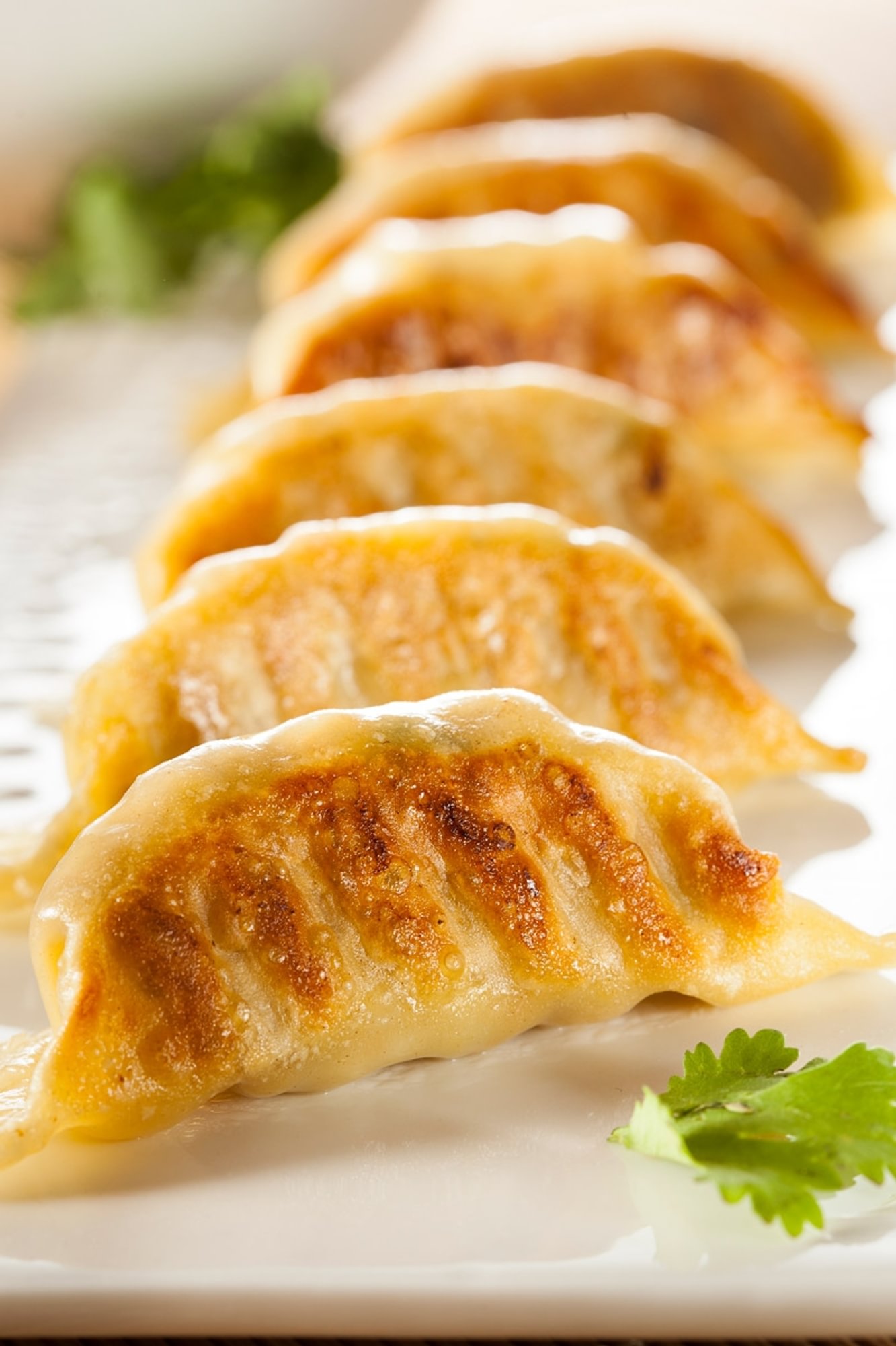 Pork Gyoza