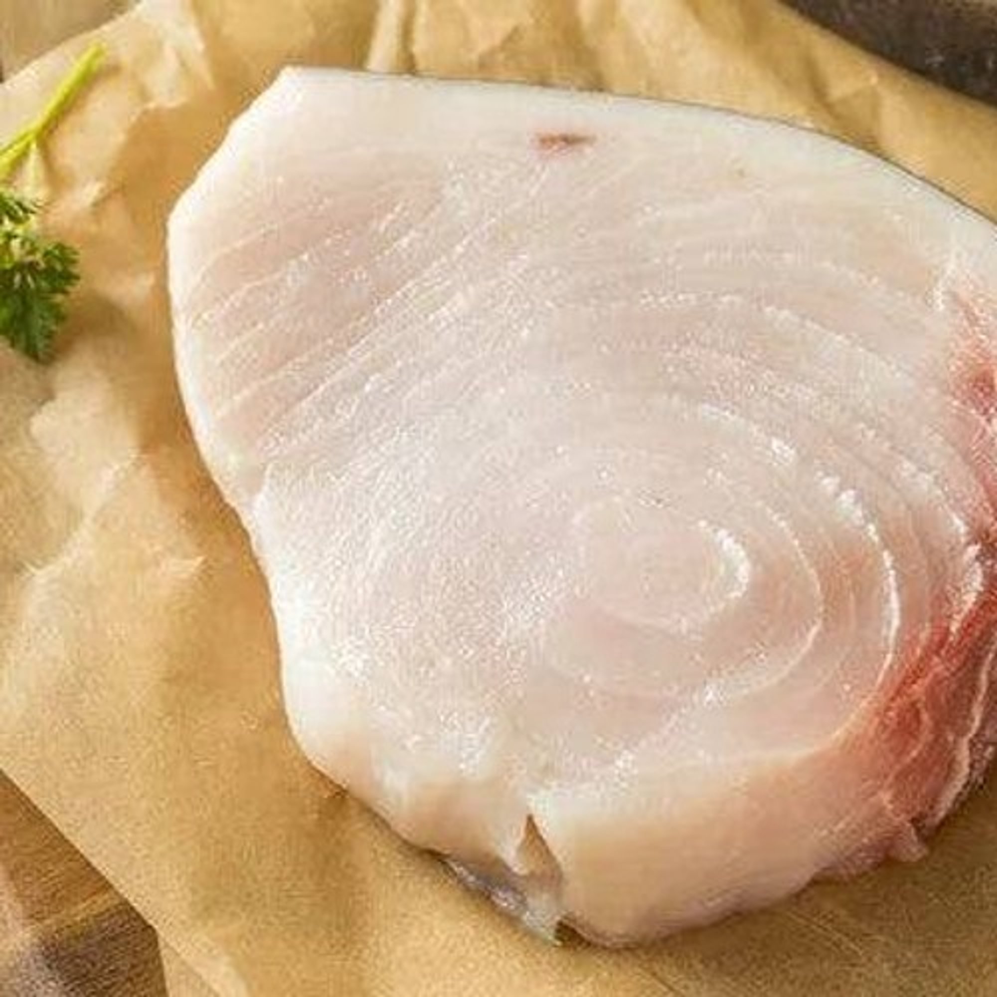 Swordfish