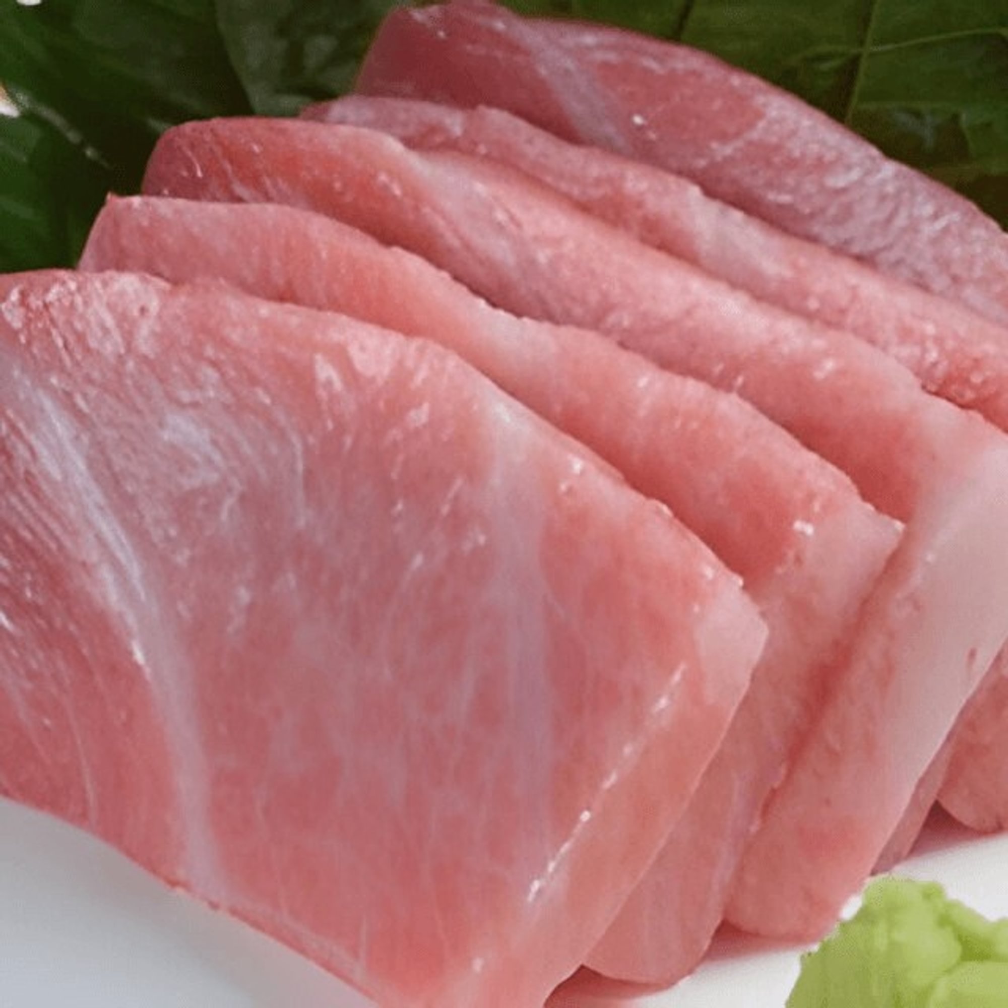 Bluefin Tuna Belly / Otoro Sashimi (5pcs)