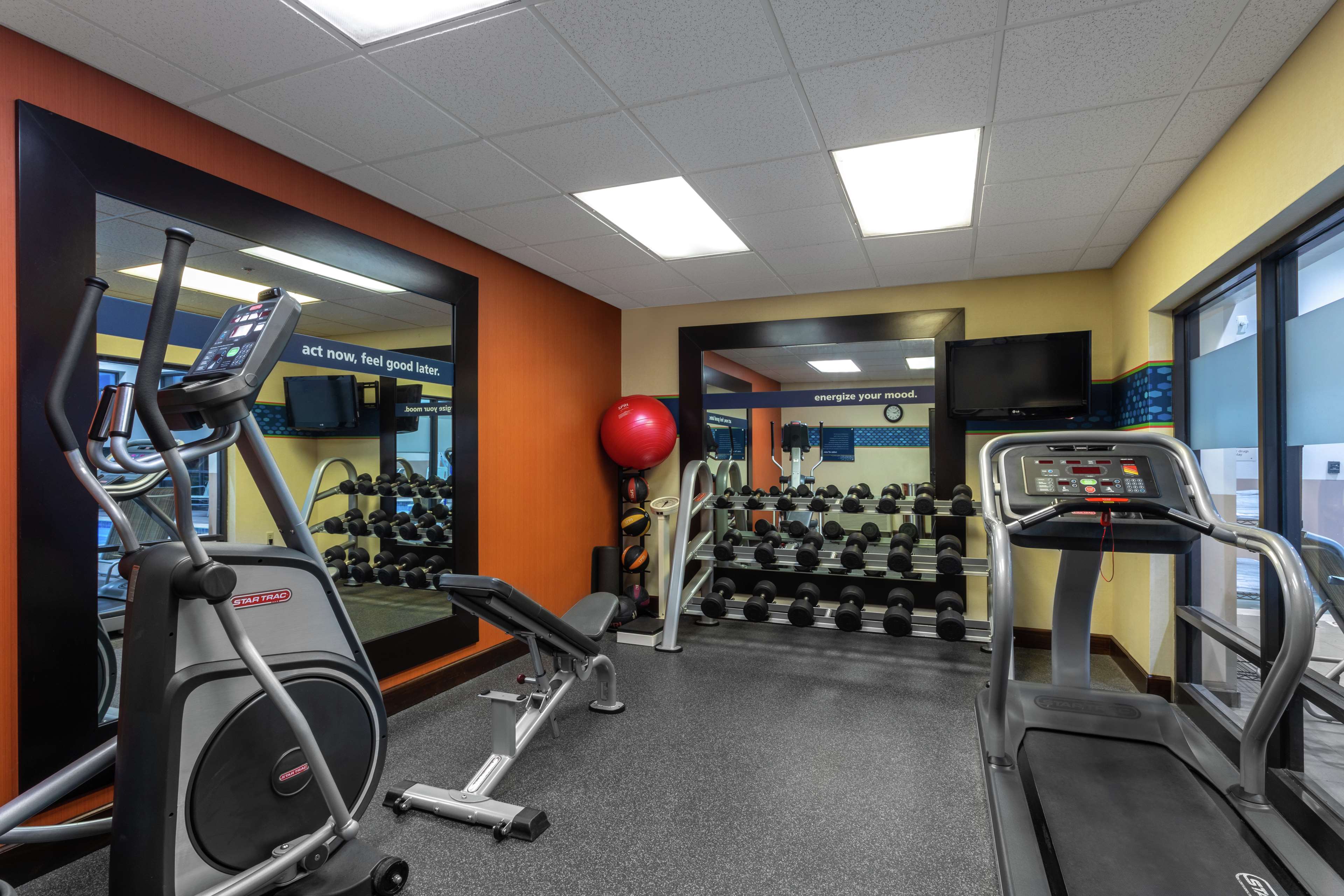 Health club  fitness center  gym