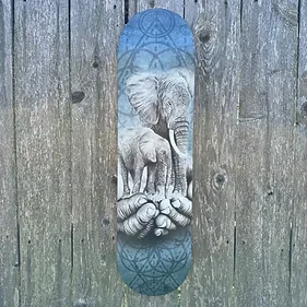 Nature Designs