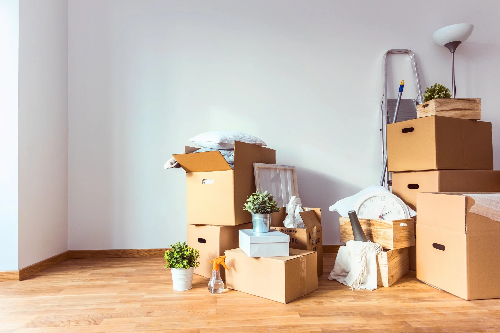 Move-out Cleaning