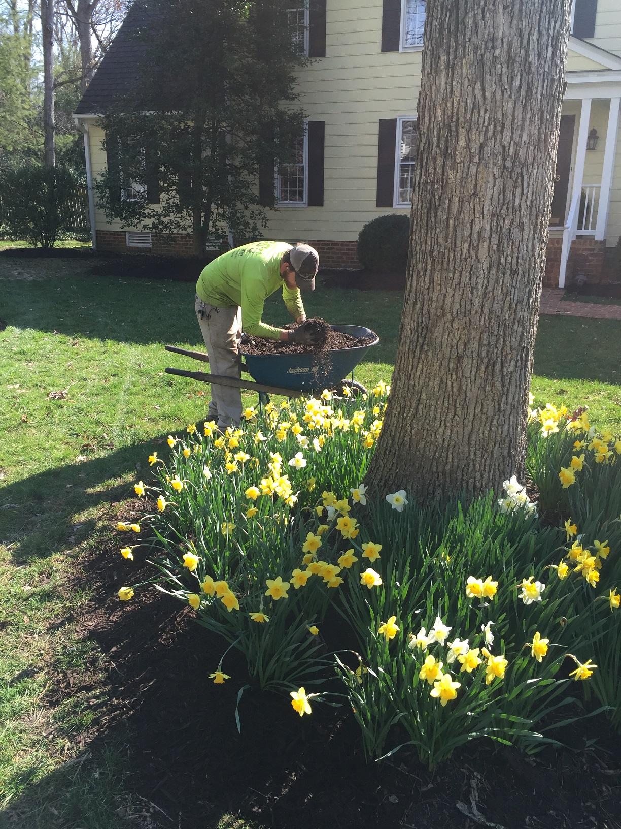 Green Side Up Landscaping Image