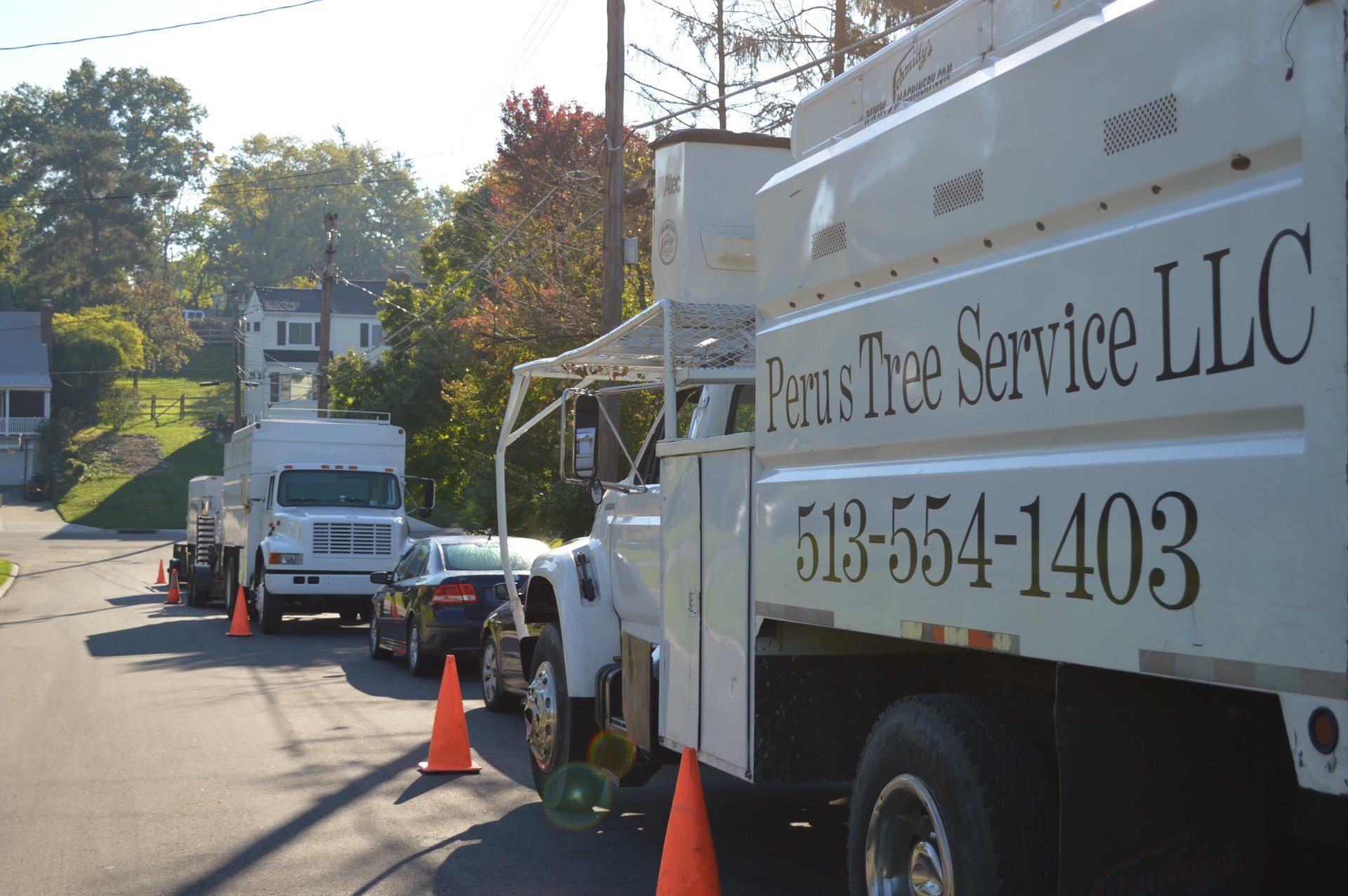 Peru's Tree Service Inc. Photo