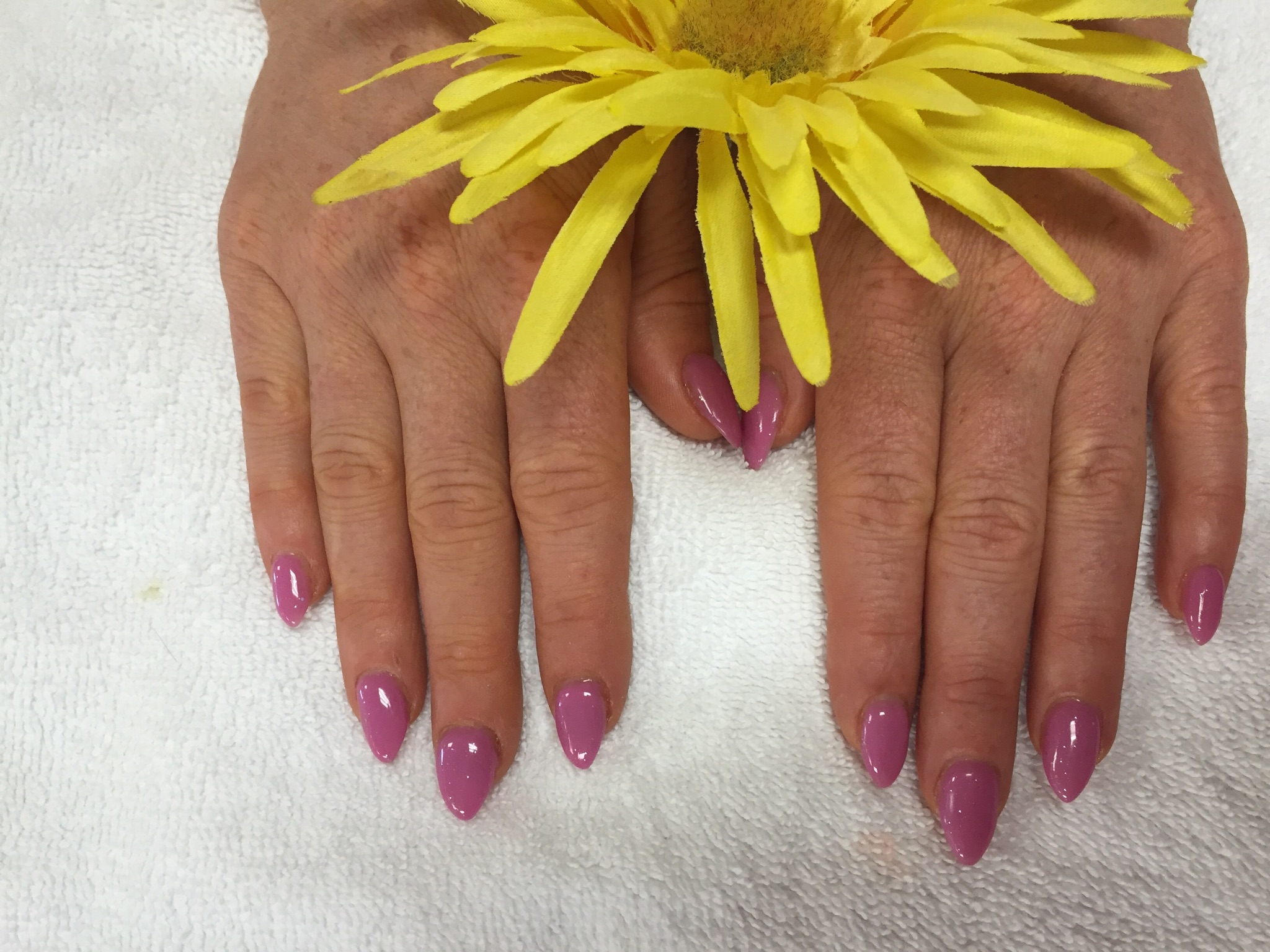 TL Nails & Spa image