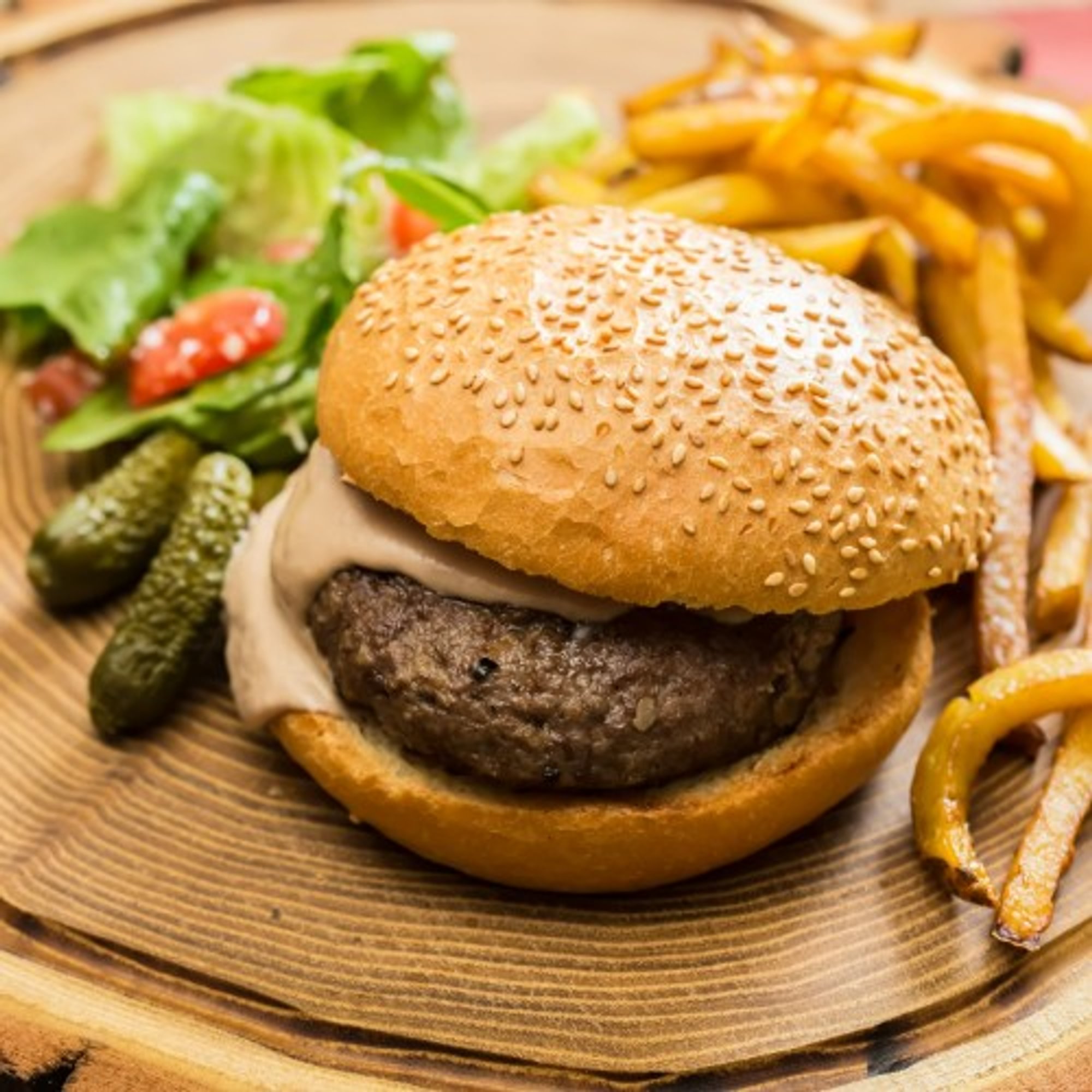 Cheese Burger and Fries