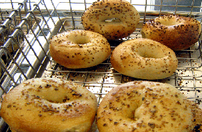 Images Bagelwich Bagel Bakery
