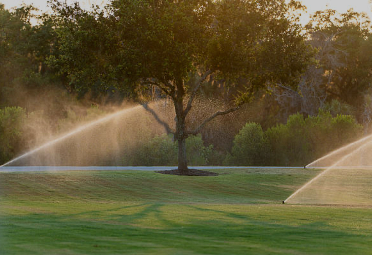 Mowtown Lawn and Landscape Logo