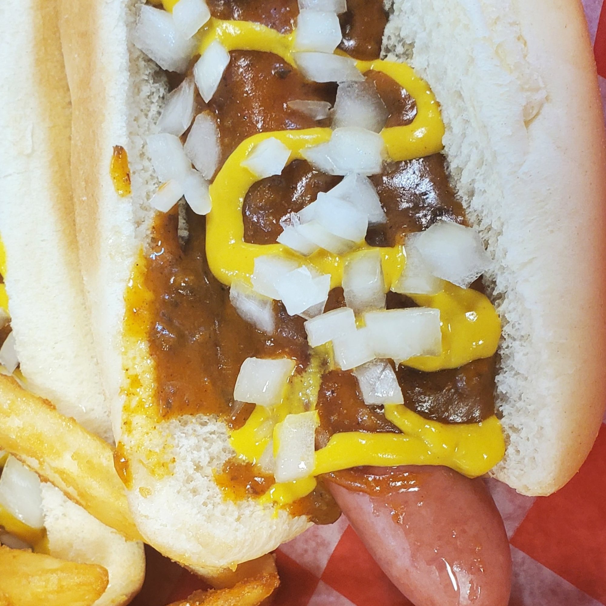 New York Dog