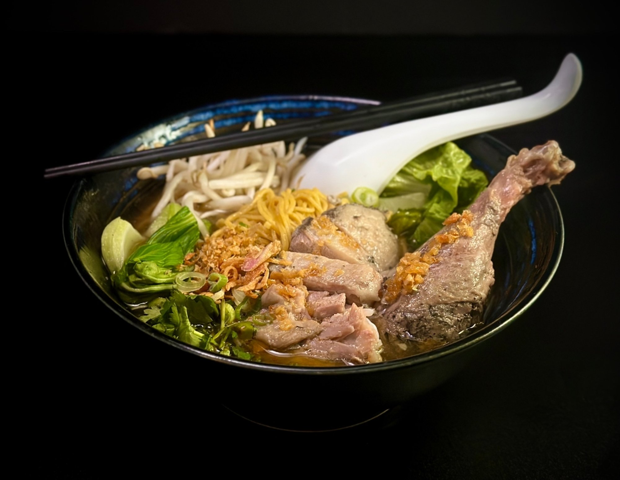 DUCK NOODLE SOUP