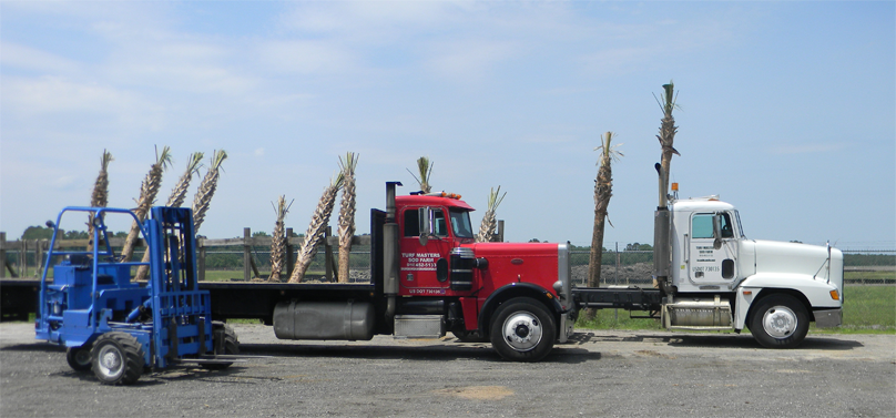 Turf Masters Sod Farms Photo