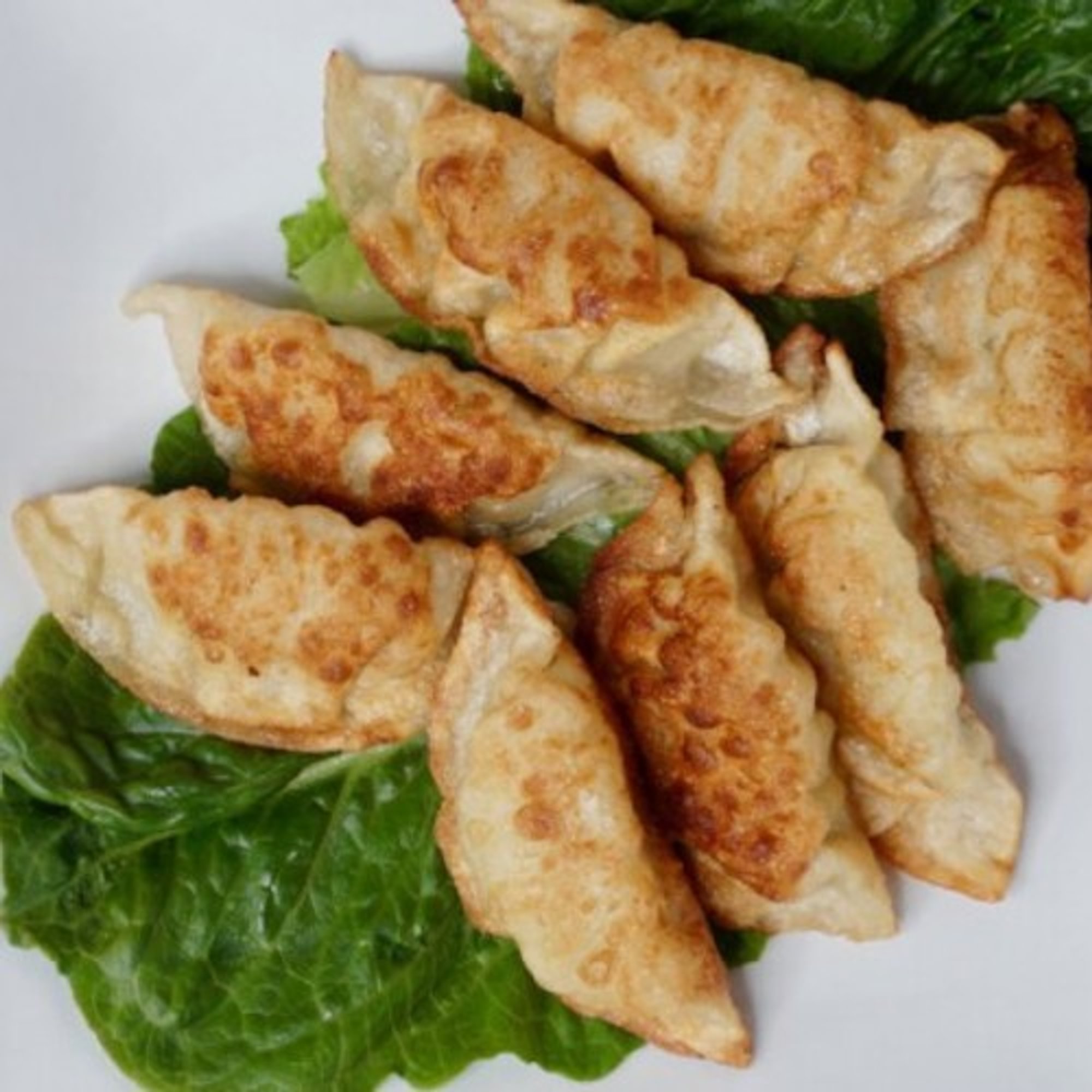 Potstickers (8)