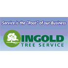 Ingold Tree Service Cambridge