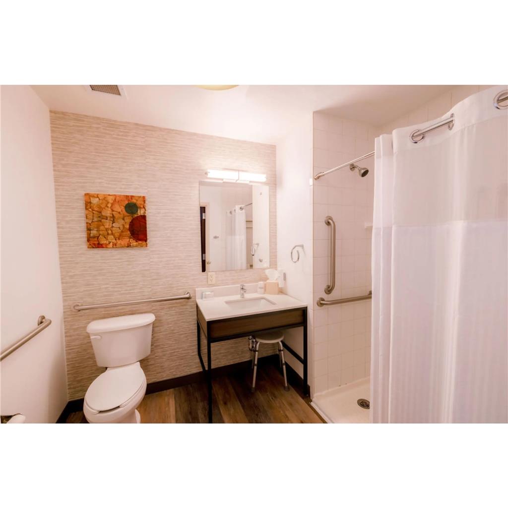 Hilton Garden Inn Mankato Downtown Image