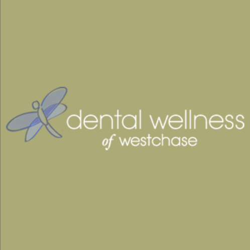 Dental Wellness of Westchase