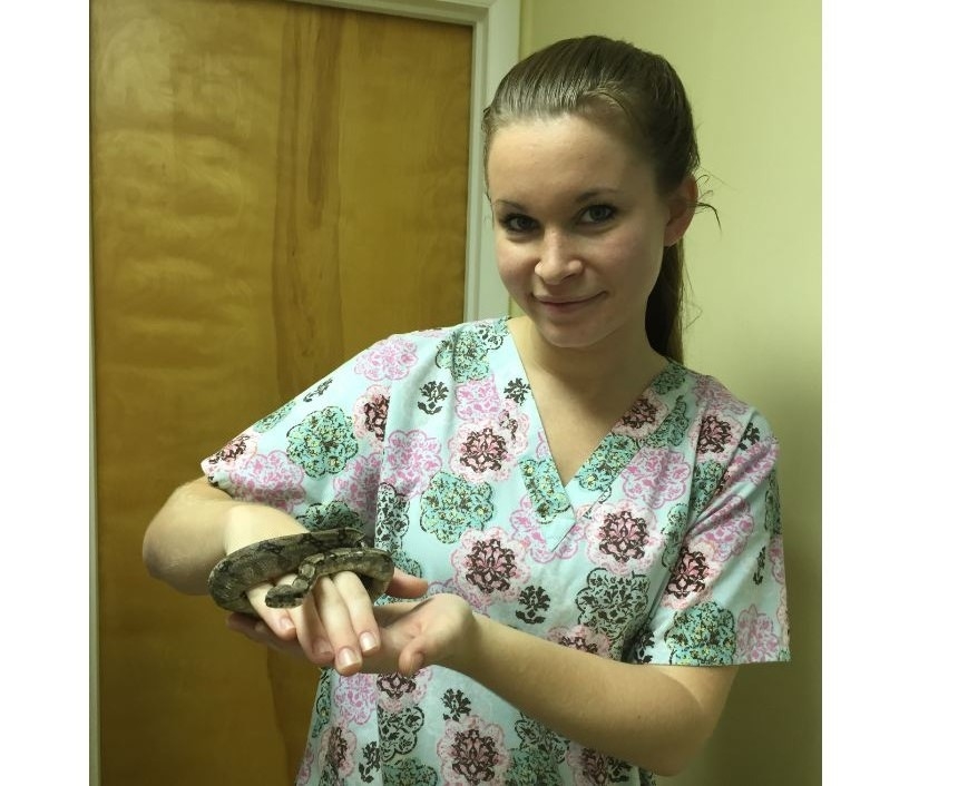 Stephens City Animal Hospital Image