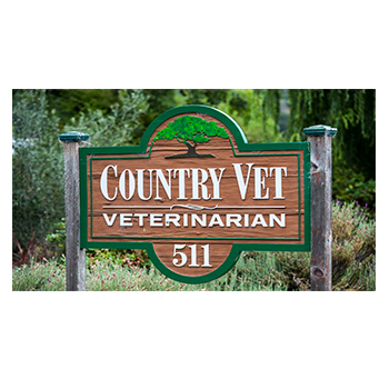 The Country Vet