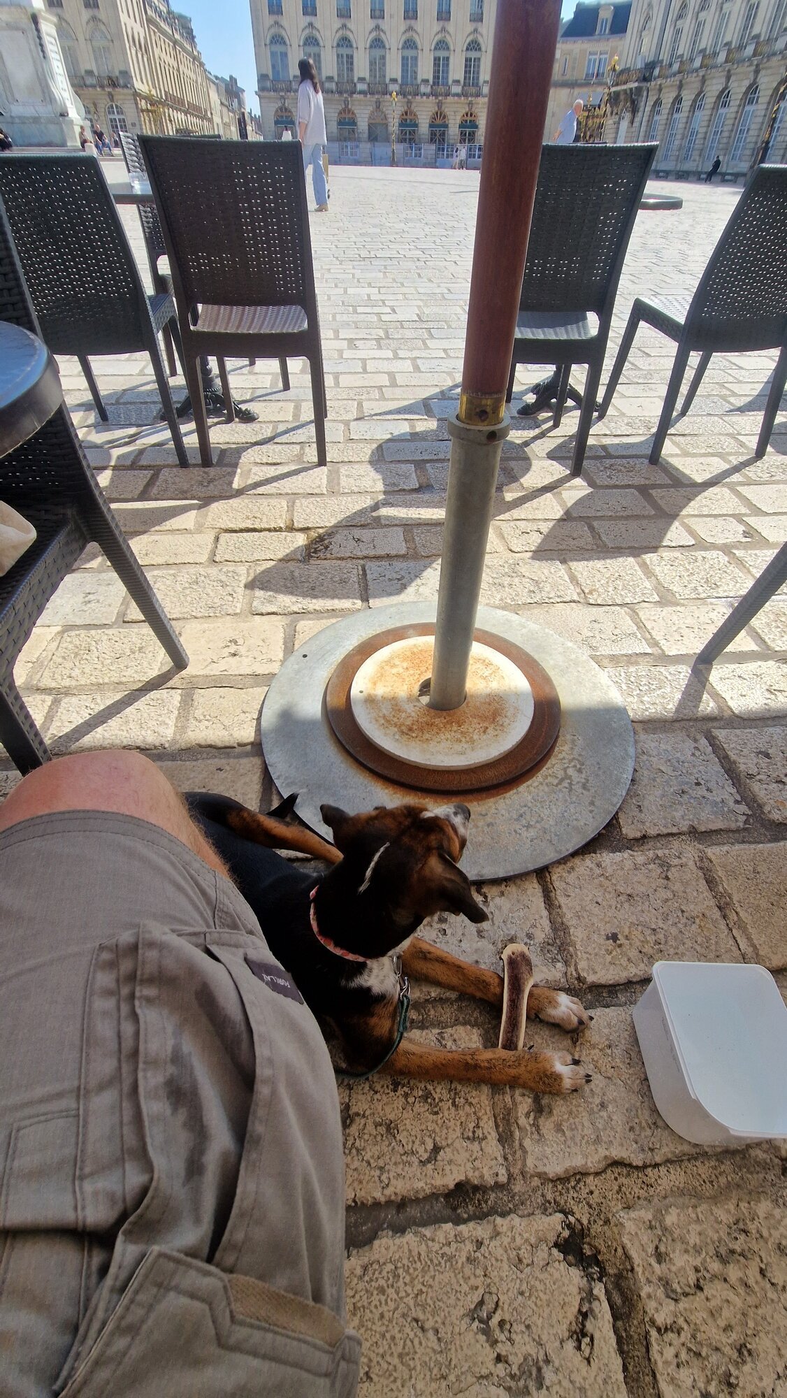 Miniature de la galerie