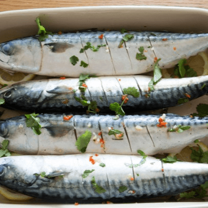 Mackerel