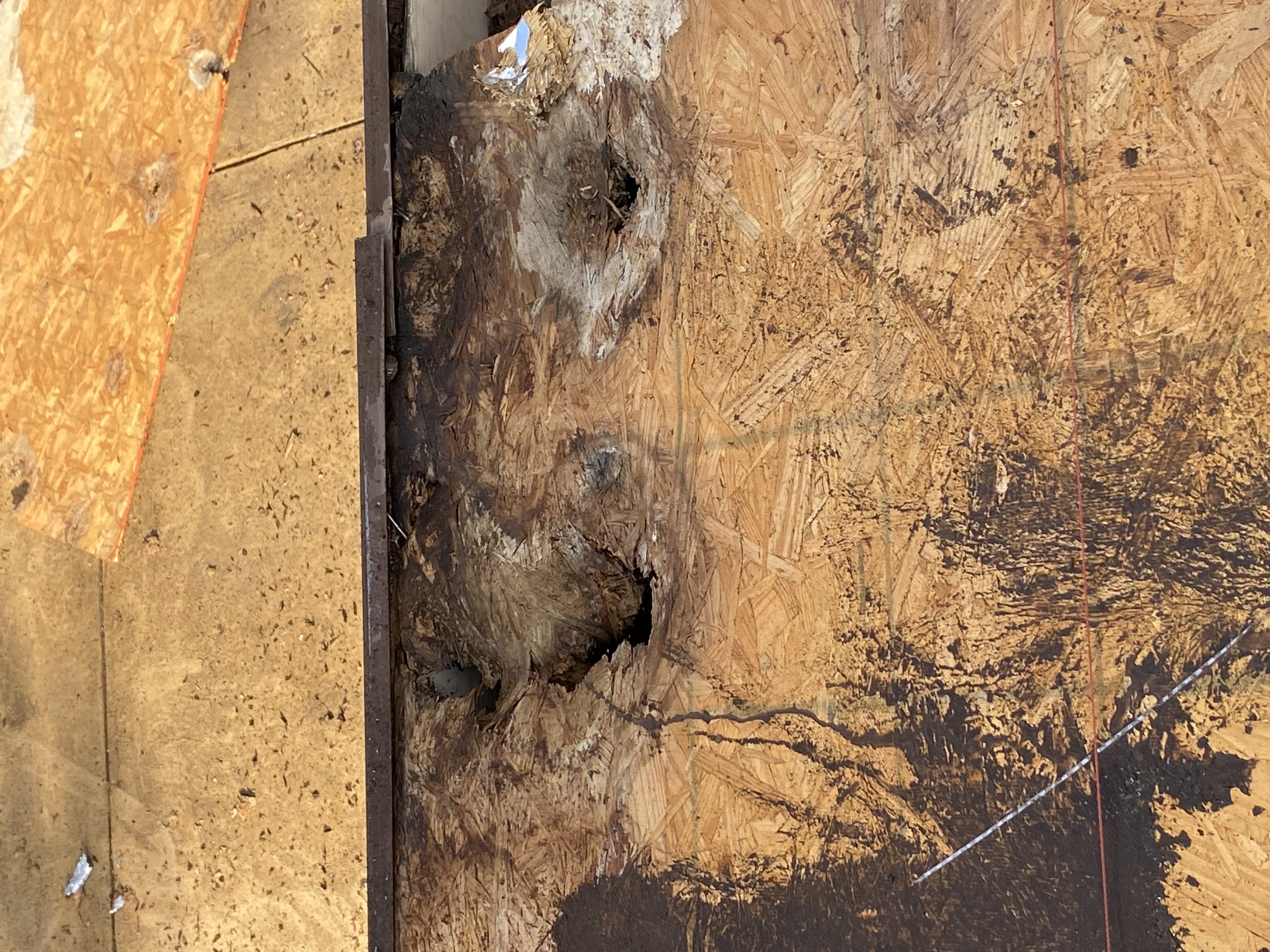 Homestead Roofing Image