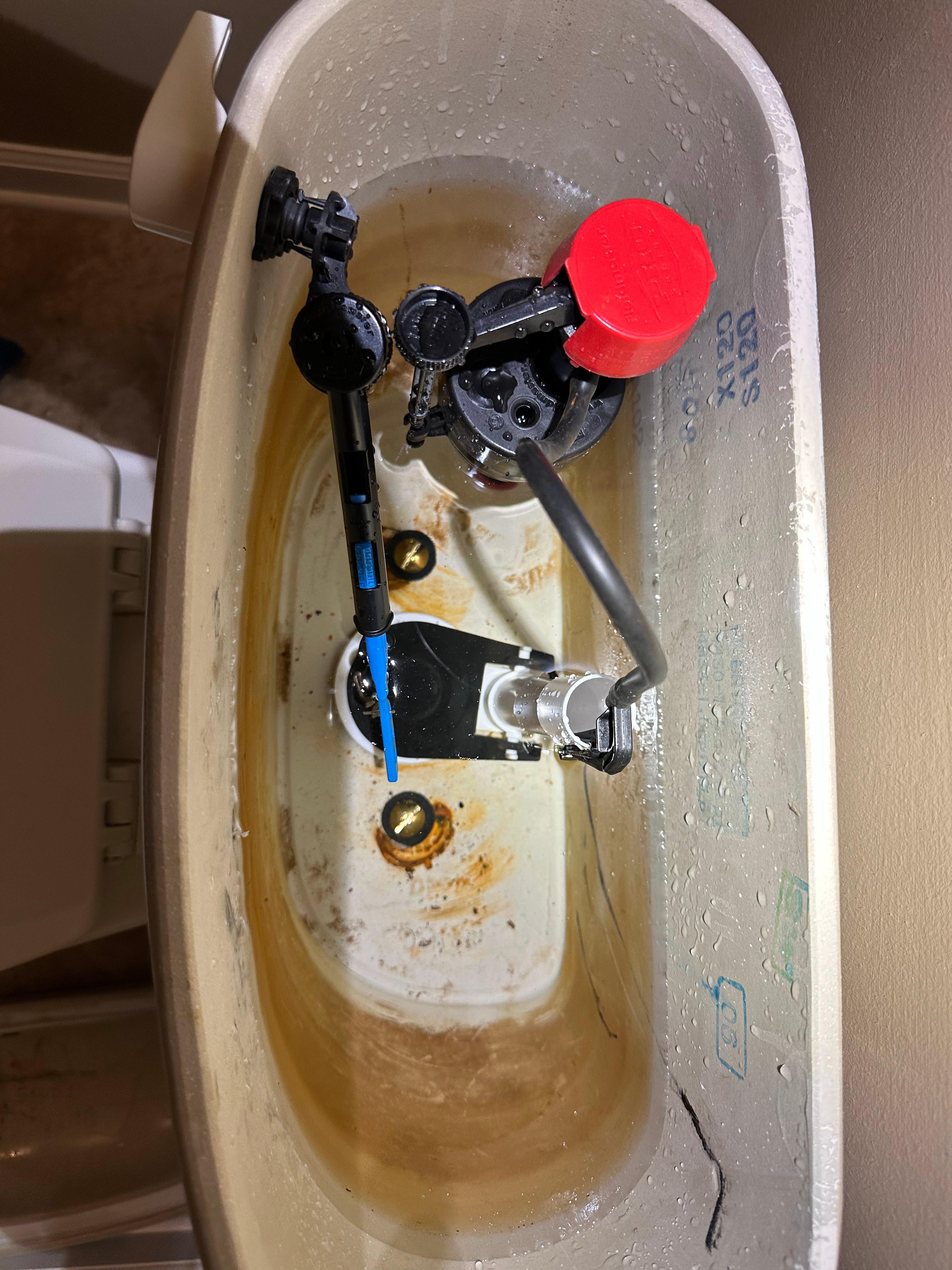 True Blue Plumbing Services Image