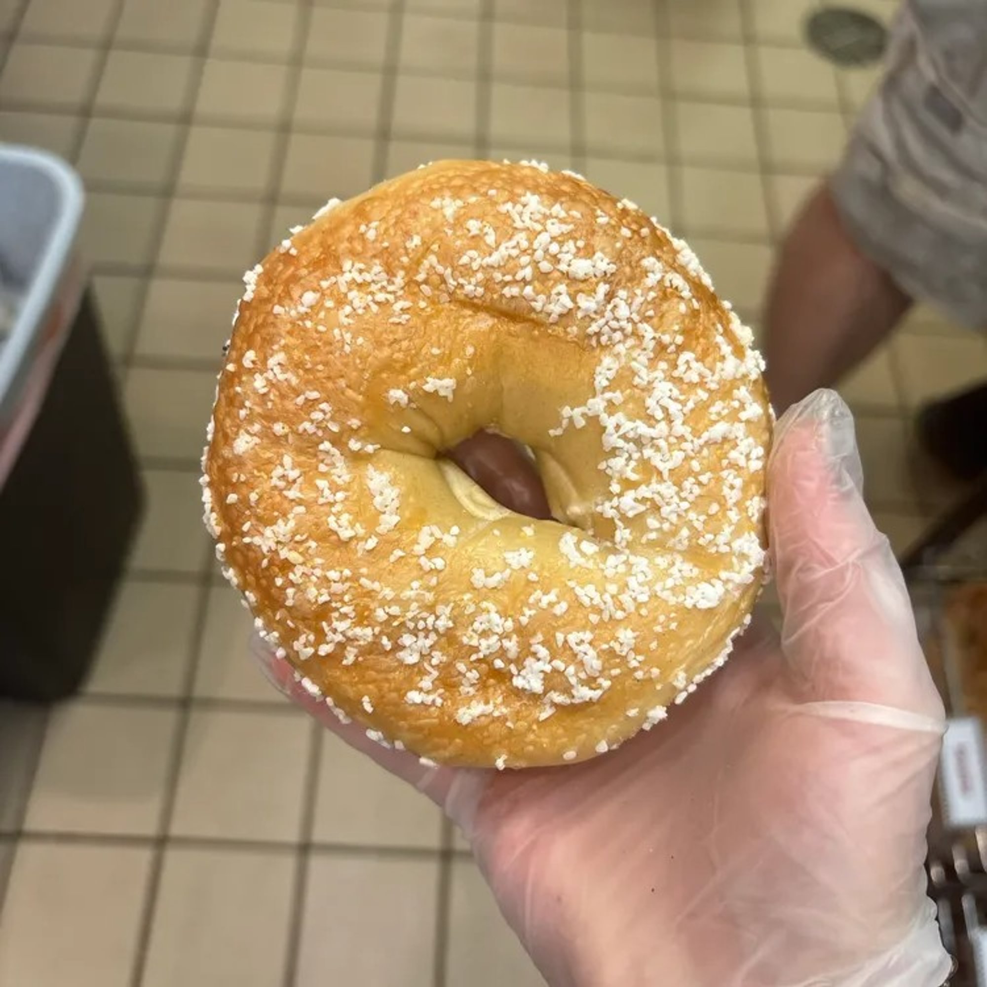 Salt Bagel