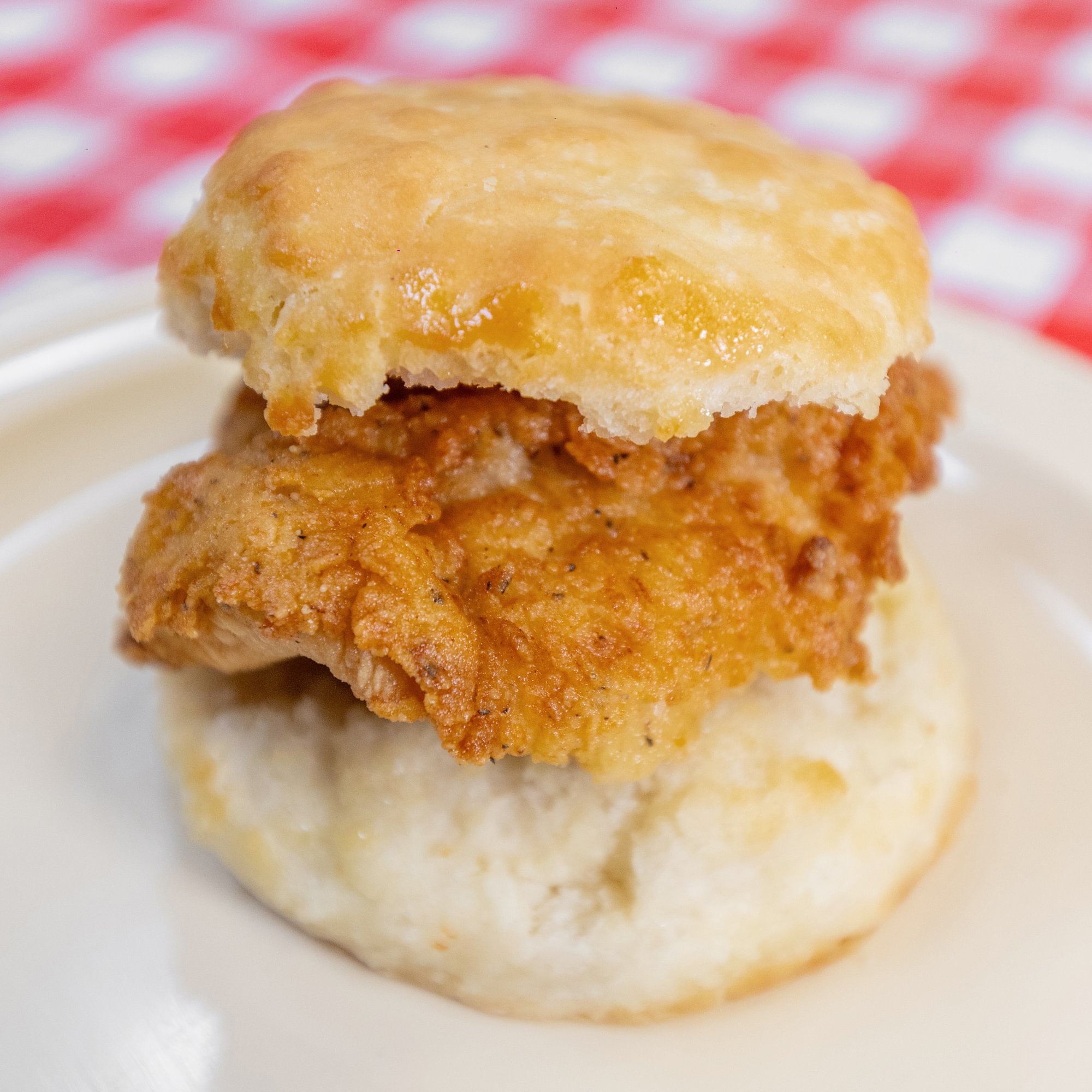 Chicken Biscuit