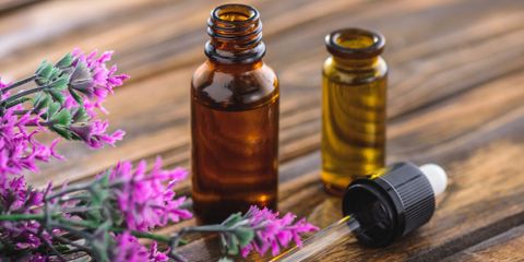 5 Essential Oils That Are Toxic to Dogs