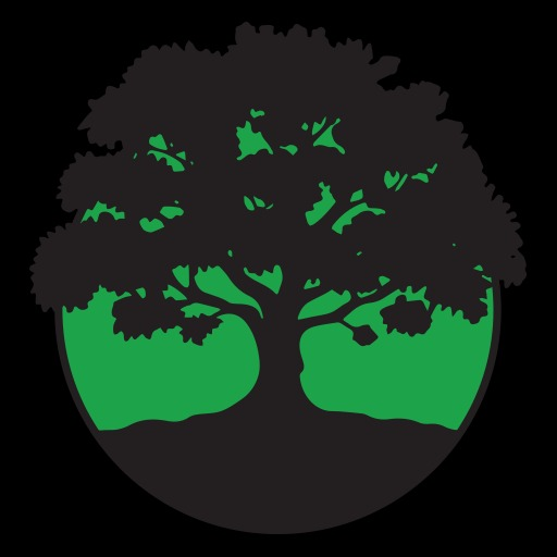 Specialty Tree & Bucket Service