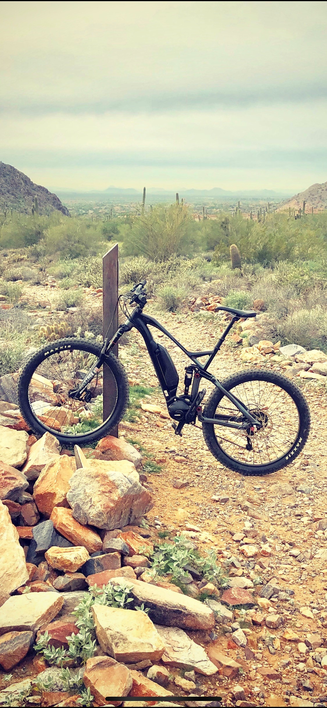 Pedego Elevate