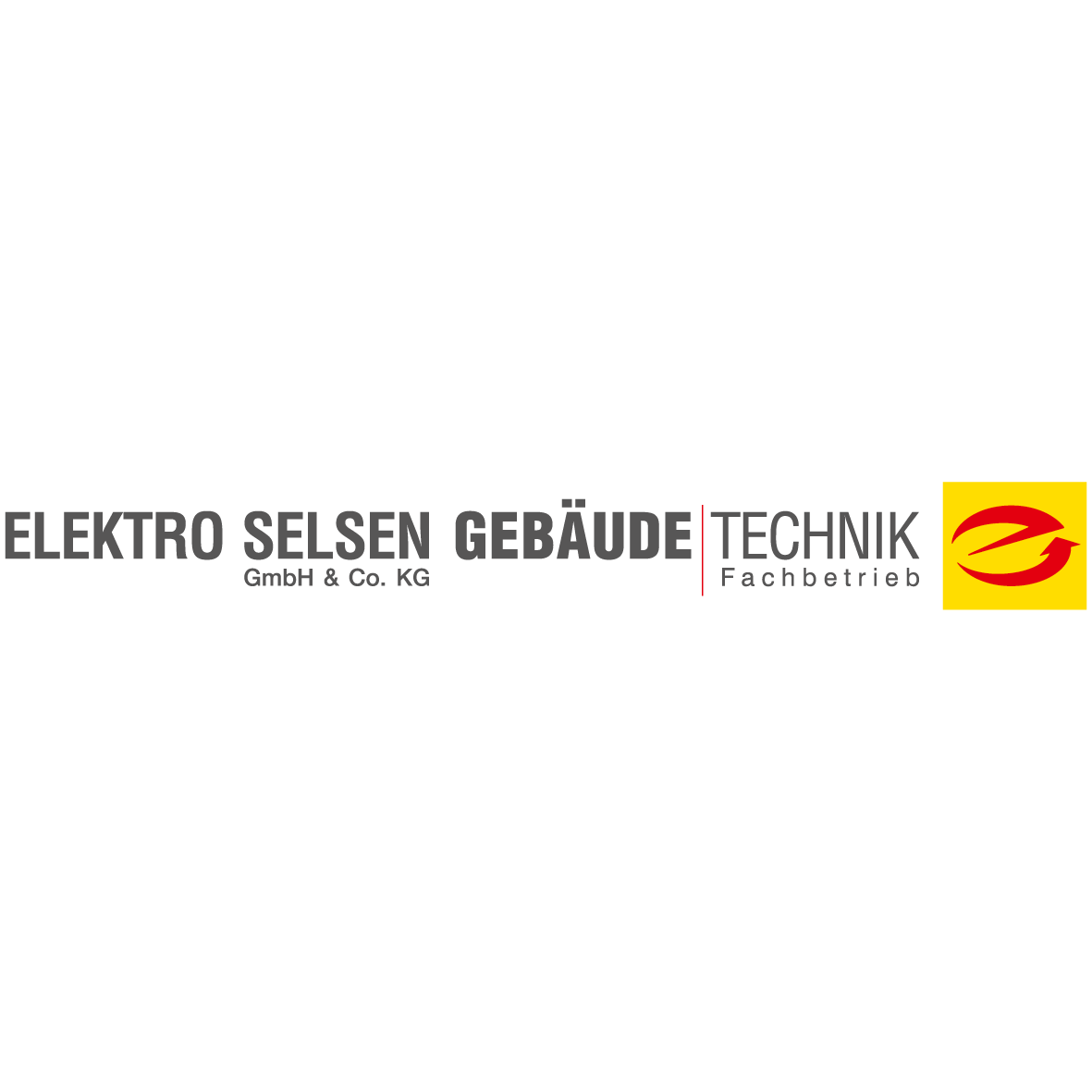 Logo von Elektro Selsen GmbH & Co. KG