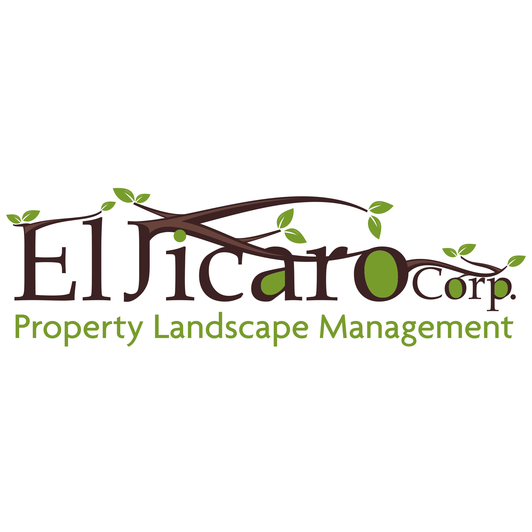 El Jicaro Corp