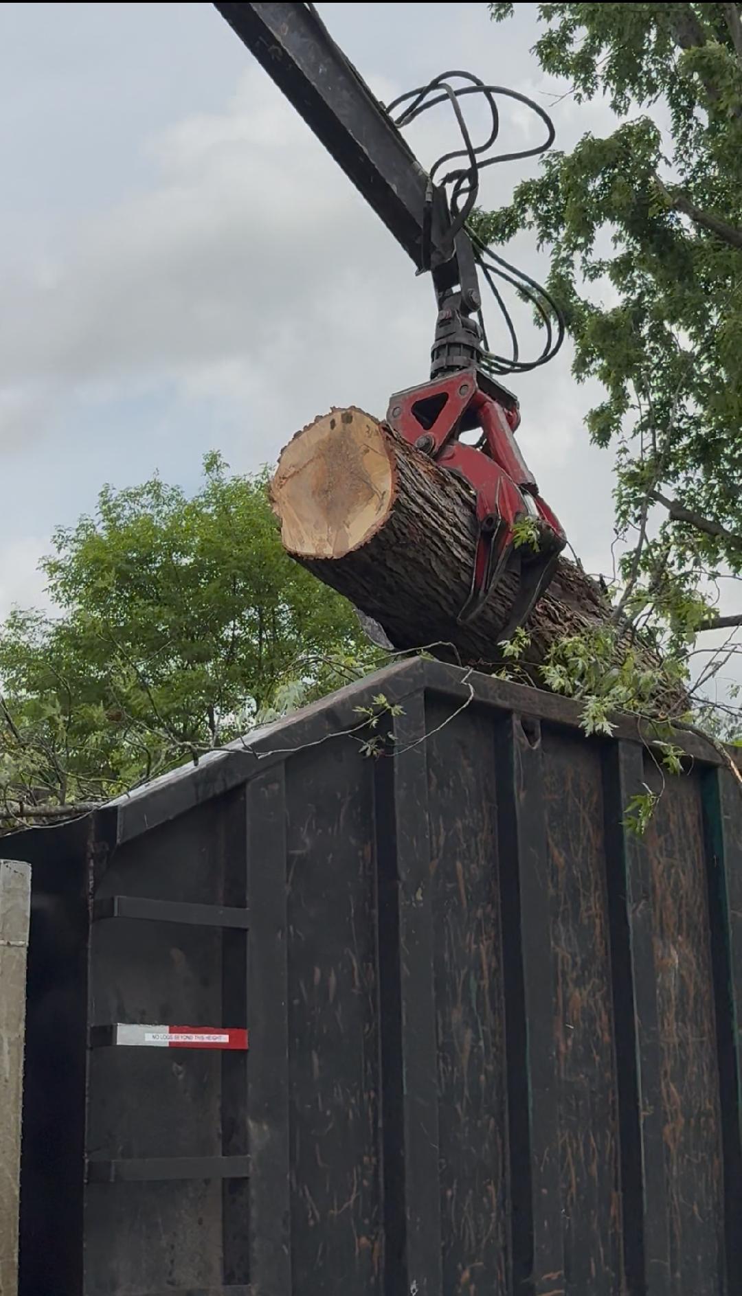 Peterman Brothers Tree Service LLC Image