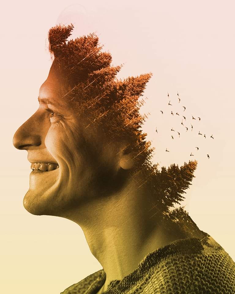 Z GRAPHICS L.L.C. Image