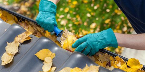 The Importance of Roof Cleaning