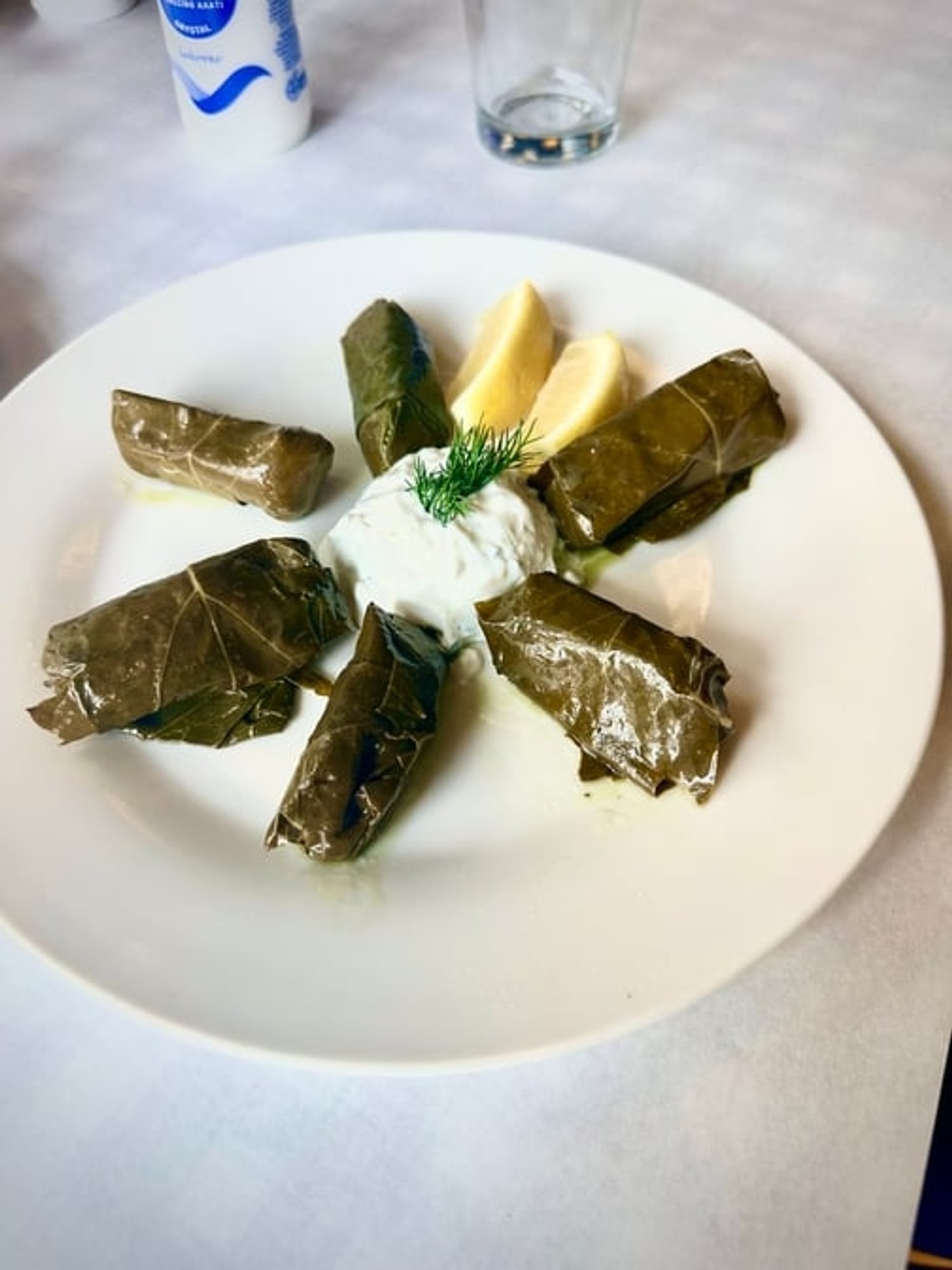 Dolmades with side Tzatziki