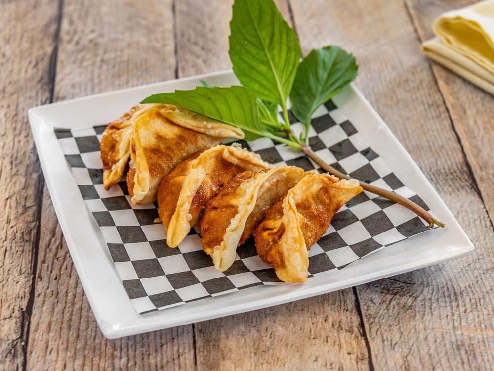 Pork and Veggie Gyoza