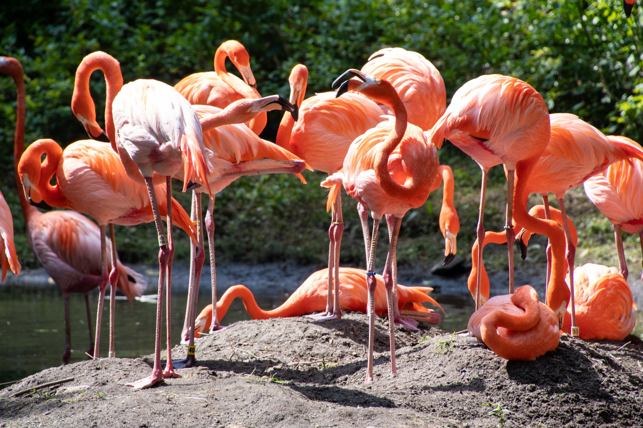 Holiday Inn Express & Suites Bronx - Zoo Area by IHG Image