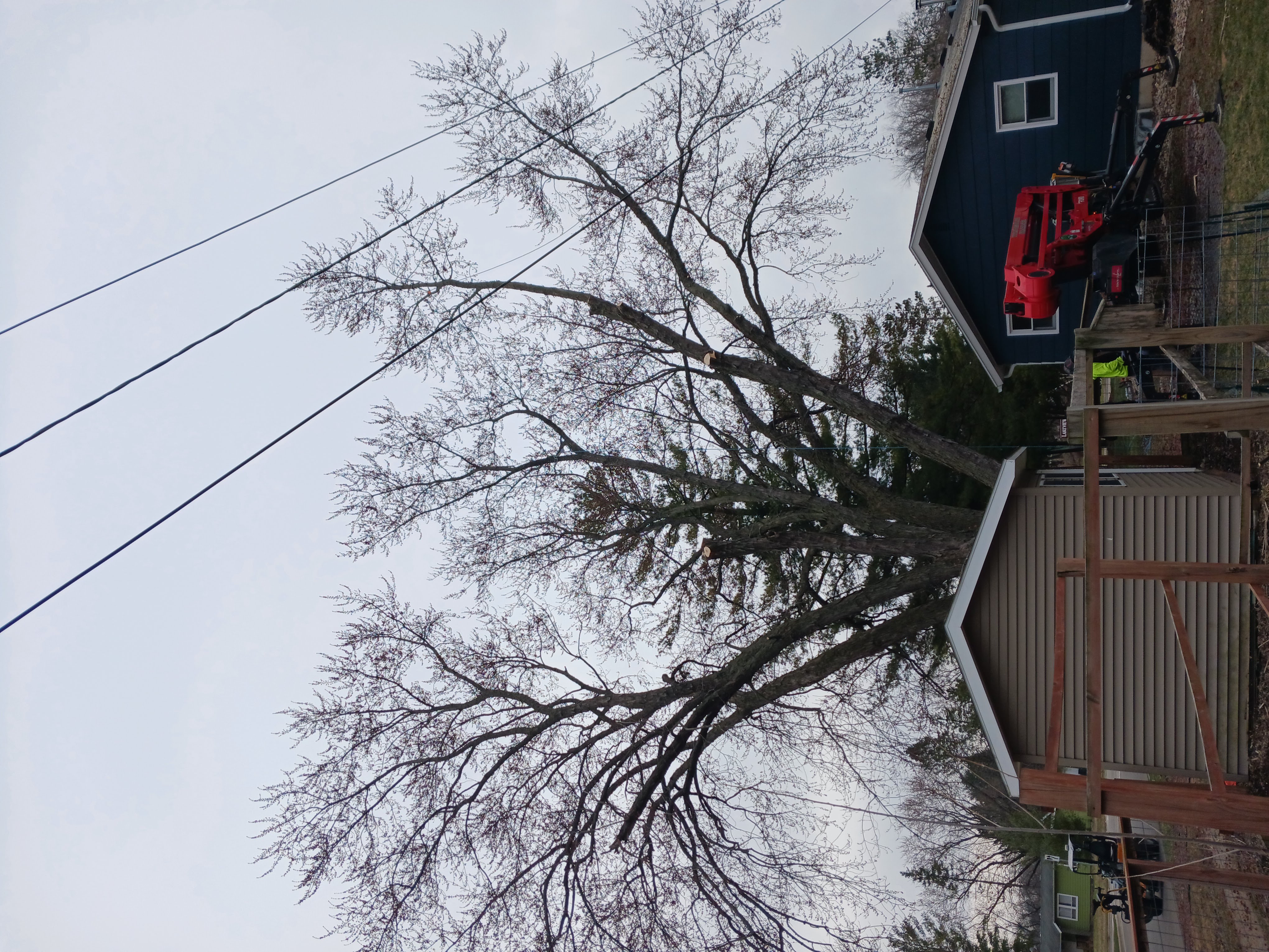 Steven R Bassett Inc. Image