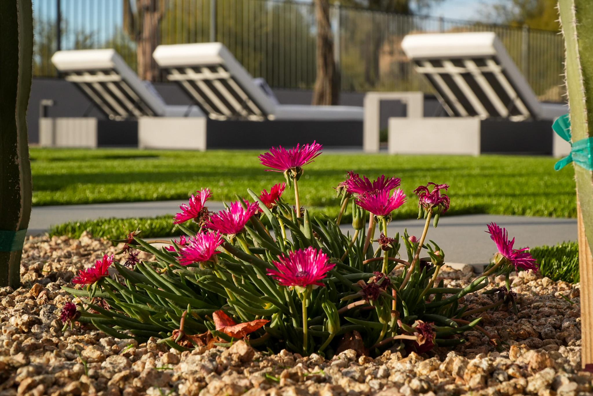 Art of Construction Custom Pools & Outdoor Living Image