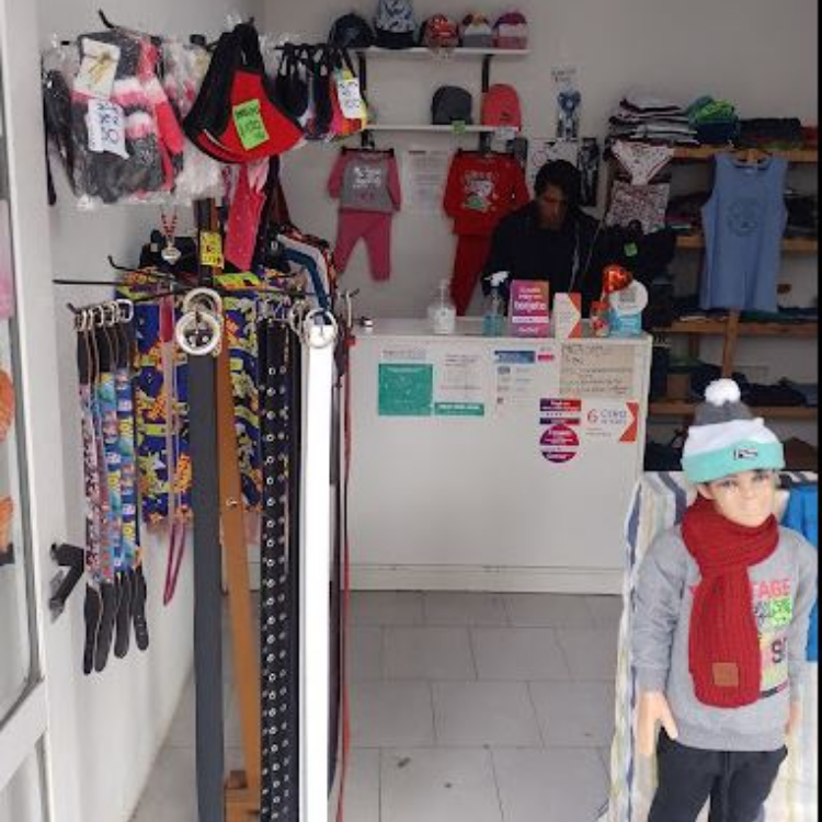 Galería en miniatura