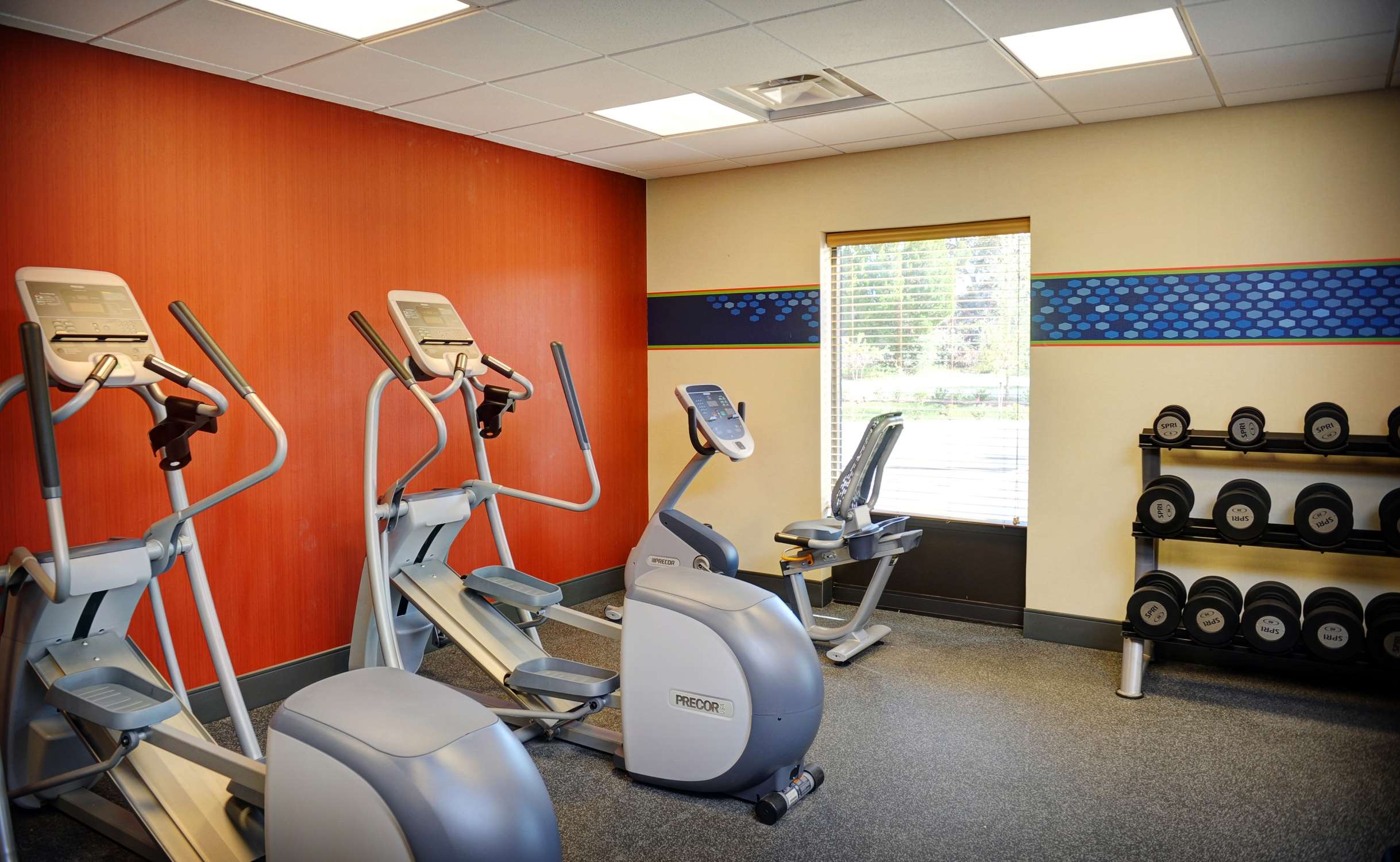 Health club  fitness center  gym