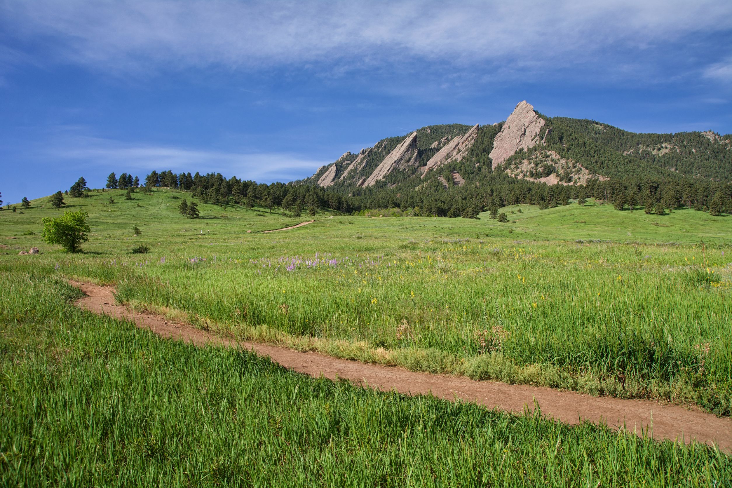 Denver Climbing Company Photo