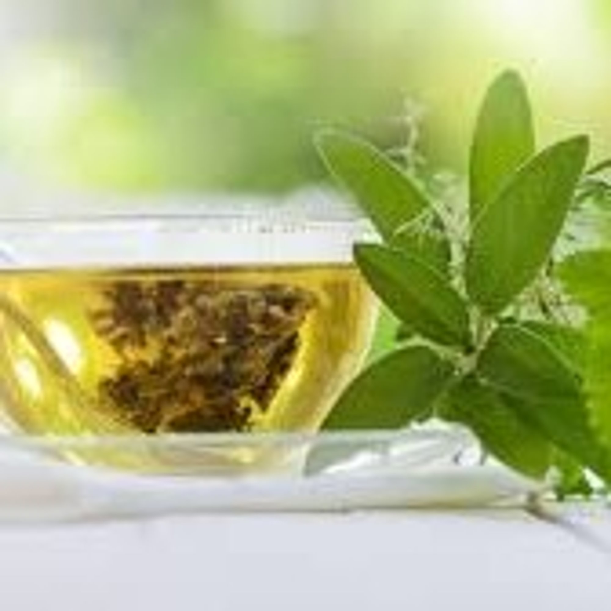 Green Tea / Trà Xanh (Per Pot)