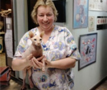 Queens Midway Animal Hospital Photo