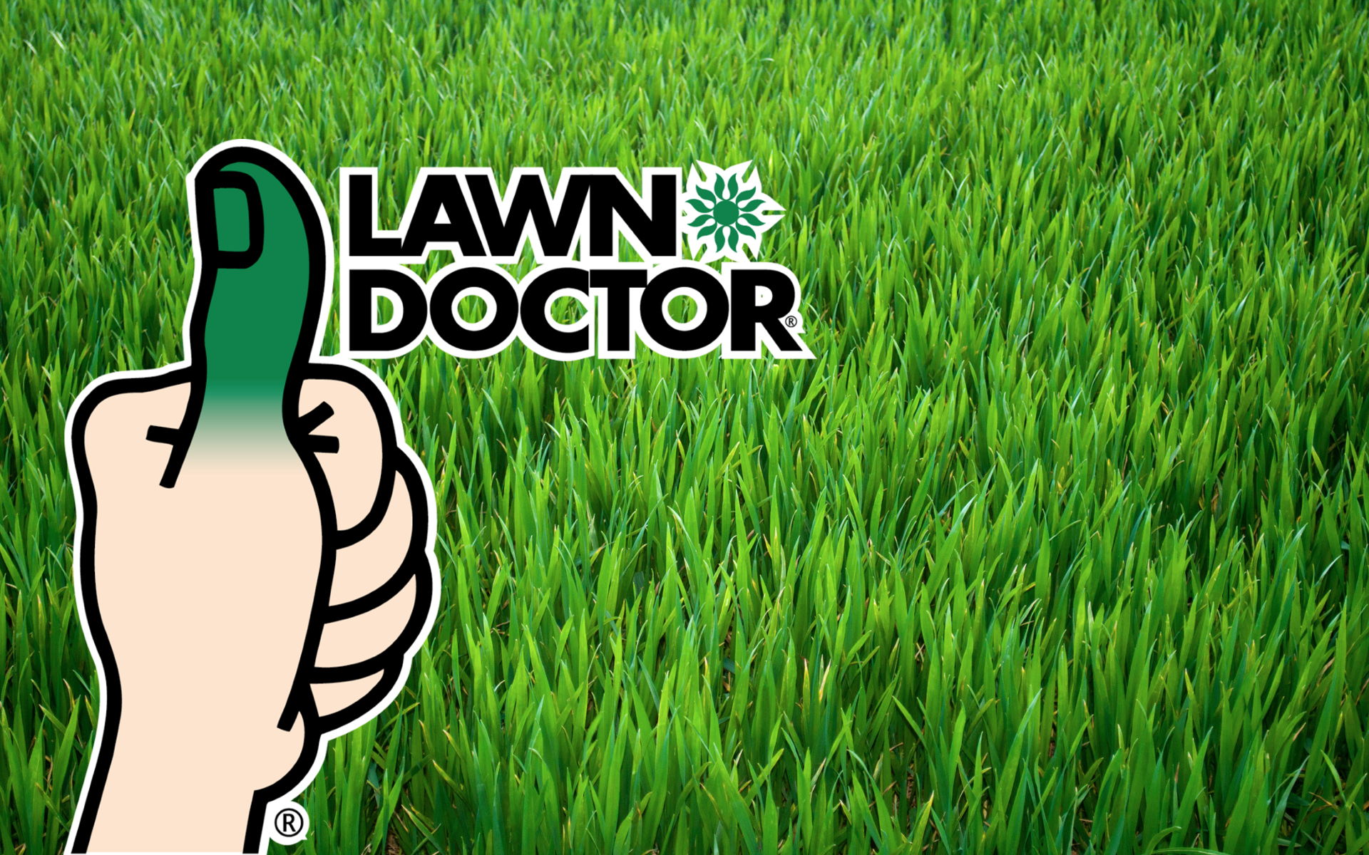 Lawn Doctor of Greater Williamsburg-The Peninsula-Smithfield