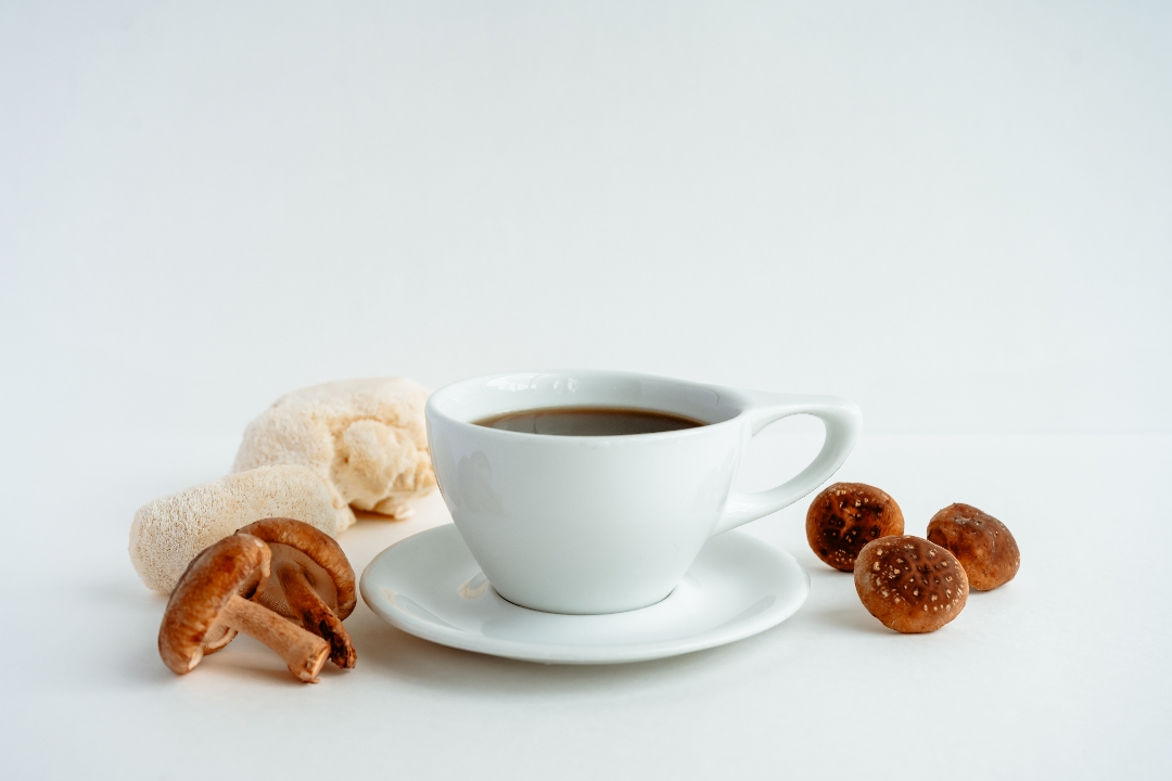 Medicinal Mushroom Broth (vegan)