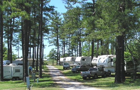 Spartanburg NE / Gaffney KOA Holiday Photo